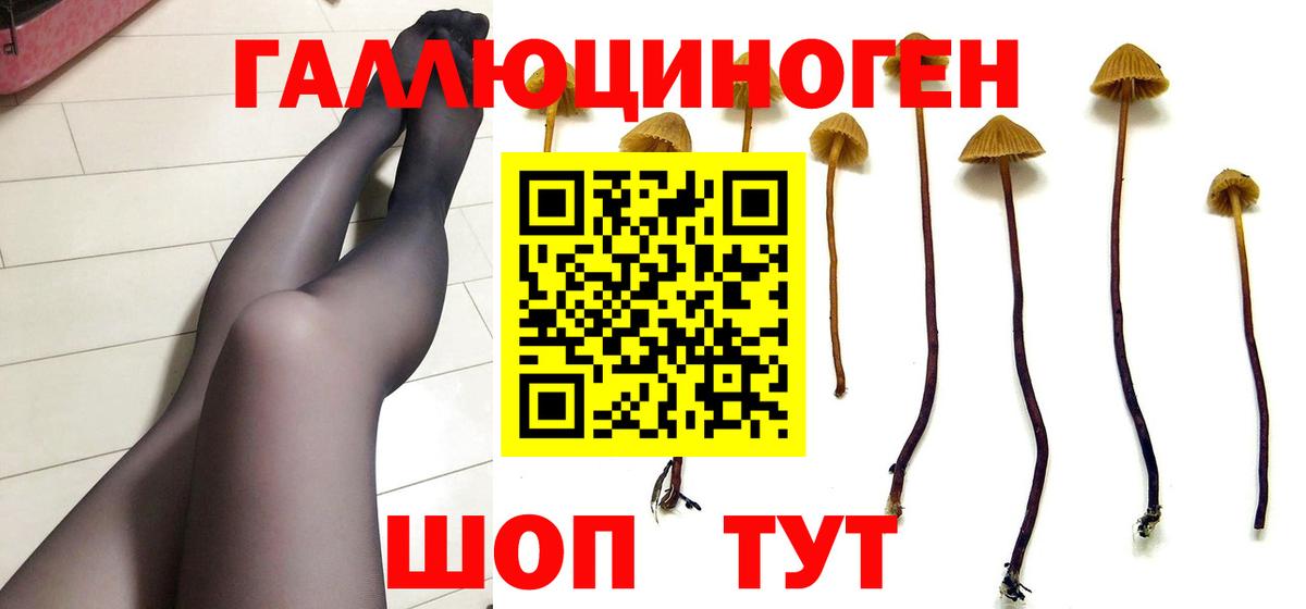 Галлюциногенные грибы Psilocybine cubensis  Вход с VPN  Новозыбков 
